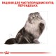 Royal Canin Persian Adult для котів 4 кг
