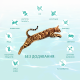 Optimeal Cat Beauty Fitness Sterilised для стерилізованих кішок з морепродуктів 1.5 кг