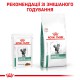 Royal Canin Diabetic Pouches для кішок при діабеті в соусі 12х85 г
