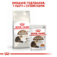 Royal Canin Ageing 12+ для котів старше 12 років 4 кг