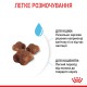 Royal Canin Babycat для кошенят 10 кг