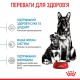 Royal Canin Maxi Starter для щенят 4 кг