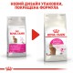 Royal Canin Exigent Aromatic Attraction для котів 4 кг