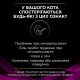 Purina Veterinary Diets UR Urinary Feline в підливці з лососем для котів 10х80 г
