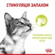 Royal Canin Sensory Smell in Jelly в желе для котів 12х85 г