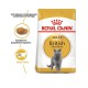 Royal Canin British Shorthair для котів 4 кг