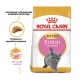 Royal Canin British Shorthair Kitten для кошенят 2 кг