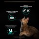 Purina Pro Plan Adult Maintenance шматочки в паштеті з куркою для дорослих кішок 24*85 г