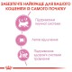 Royal Canin Babycat для кошенят та кішок, що годують 400 г