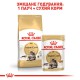 Royal Canin Maine Coon для котів породи Мейн-кун 4 кг