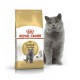 Royal Canin British Shorthair для котів 4 кг