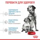 Royal Canin Medium Starter для цуценят 1 кг