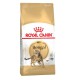 Royal Canin Bengal для котів 4 кг