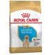 Royal Canin Labrador Retriever Puppy для цуценят 12 кг