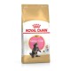 Royal Canin Maine Coon Kitten для кошенят 2 кг