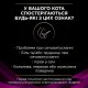 Purina Veterinary Diets UR Urinary Feline для кішок з куркою 10х80 г