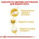 Royal Canin Maine Coon для кішок породи Мейн-кун 2 кг