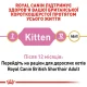Royal Canin British Shorthair Kitten для кошенят 4 кг